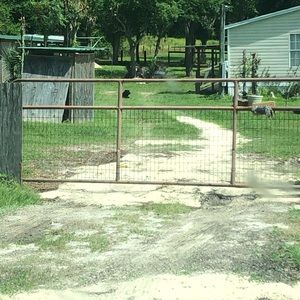 Meet your Posher, Paul